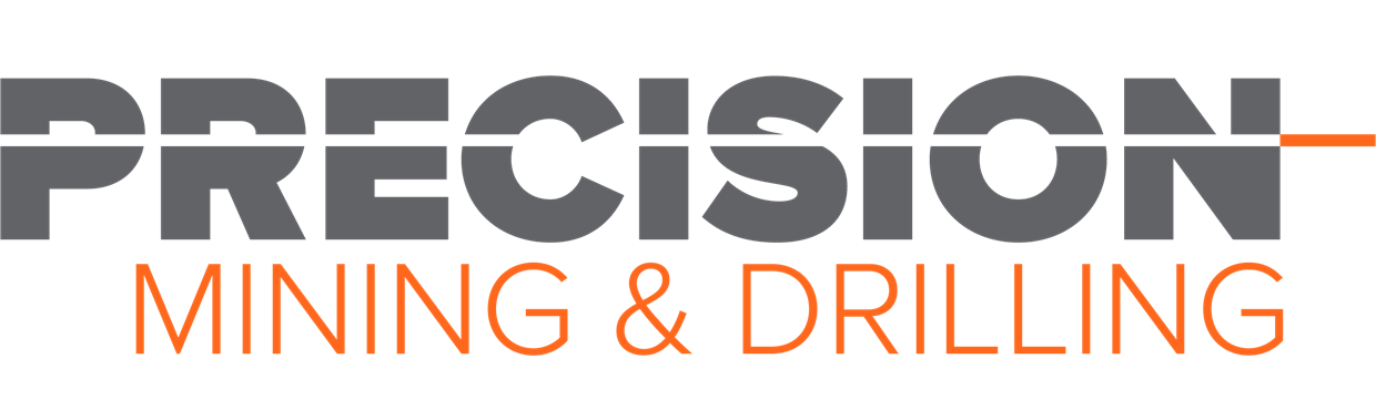 PMD Logo